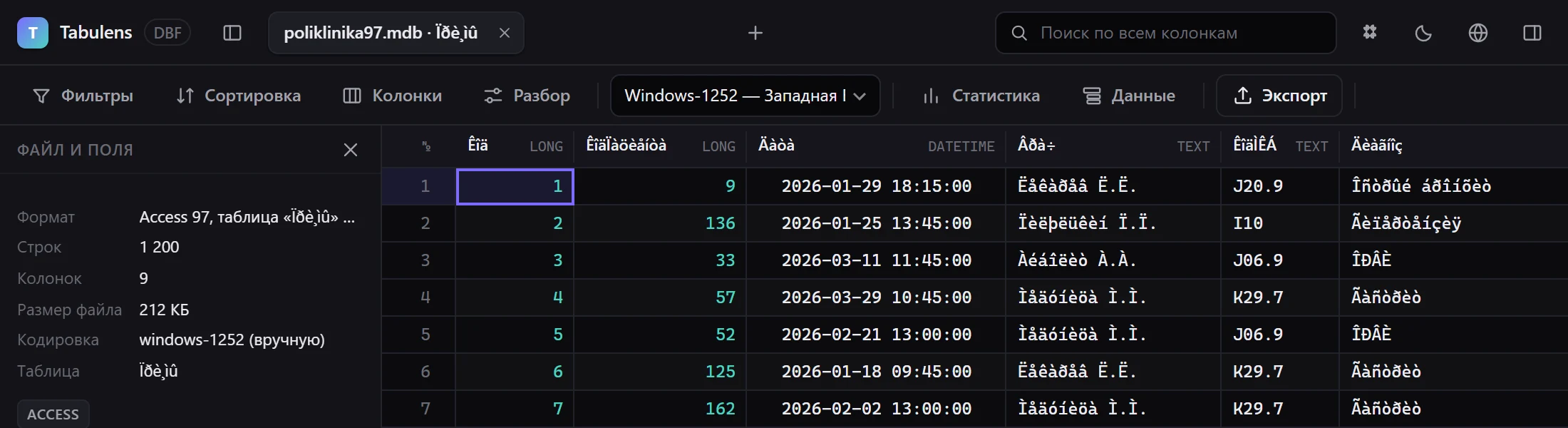 Та же база Access 97, прочитанная как Windows-1252: вместо русских букв — «кракозябры», и в данных, и в именах колонок. Кодировка выбирается в списке на панели